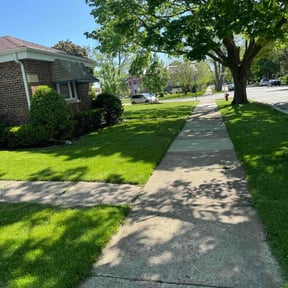 yard care by D&D Reliable Services LLC reviewed on August 18, 2025