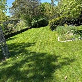 residential landscaping by lawn love reviewed on August 18, 2025