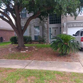 Leaf Removal by Wright Style reviewed on September 8, 2025