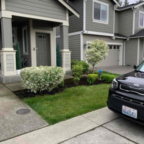 Bush Trimming by Olivares Gardening reviewed on June 25, 2025