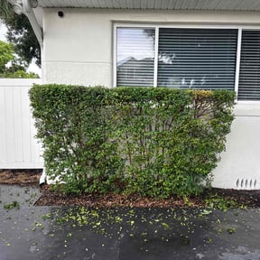 Bush Trimming by Long Grass lawn care reviewed on October 11, 2023