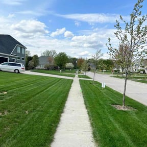 landscaping by LaBriere Competition Services reviewed on August 16, 2025