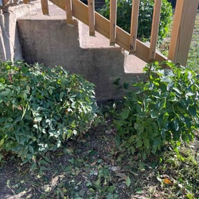 Bush Trimming by Caver Lawn Care reviewed on August 20, 2025