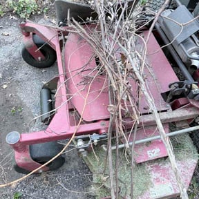 Leaf Removal by Mel's lawn service reviewed on April 18, 2026
