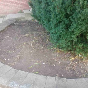 Flower Bed Weeding by Big Phan LLC reviewed on October 23, 2025