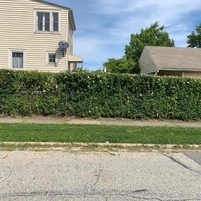 Bush Trimming by A-1 Affordable Lawn Care reviewed on August 21, 2025