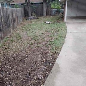 Leaf Removal by Olympic Landscaping reviewed on August 24, 2026