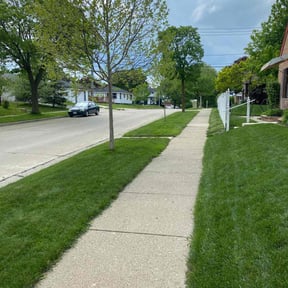 yard maintenance by Livery Services LTD, llc reviewed on August 15, 2025