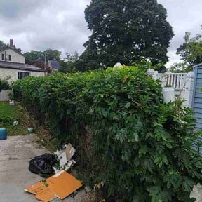 Bush Trimming by iMow Solutions LLC reviewed on August 22, 2026