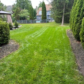 landscape maintenance by Lawn Care reviewed on January 8, 2026