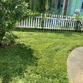 lawn service by ACDServ LLC reviewed on August 21, 2023