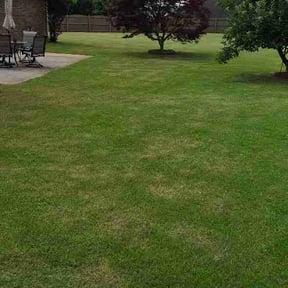 Flower Bed Weeding by Alpha Lawn &amp; power washing reviewed on June 14, 2026