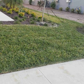 lawn service by Sarasota Lawn Care reviewed on July 16, 2025