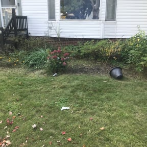 Flower Bed Weeding by Williams Luxury Landscaping LLC reviewed on August 17, 2025