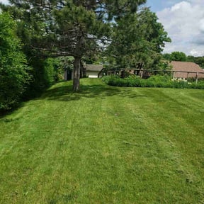 yard maintenance by Richard Kidman reviewed on November 19, 2025