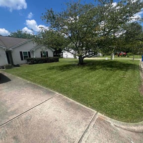 lawn care by Lawn Pro reviewed on March 20, 2024
