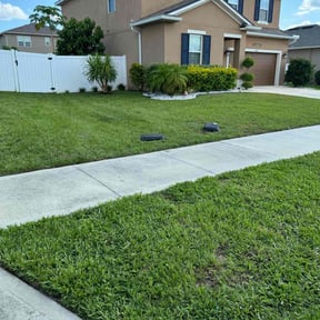turf care by Simmons Landscape Services  reviewed on August 6, 2021