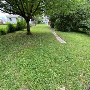 grass cutting by Waytomow reviewed on June 1, 2025