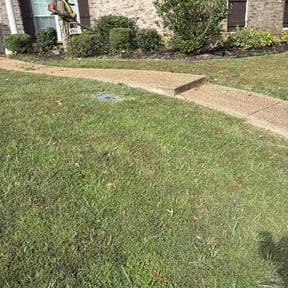 Bush Trimming by Escobar lawn care service reviewed on November 22, 2025