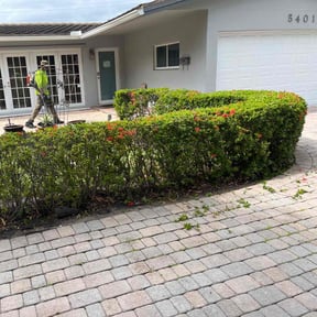 Bush Trimming by Field of Dreams Landscaping reviewed on November 24, 2025