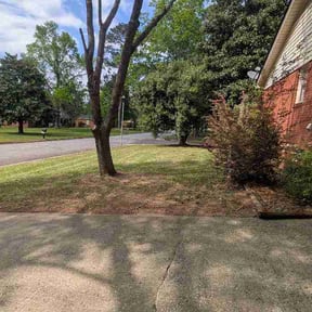 Leaf Removal by Tar Heel Veteran Outdoor Services reviewed on March 29, 2026