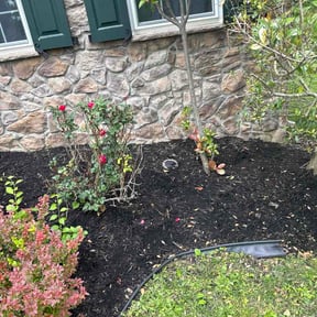 Flower Bed Weeding by Great cut lawn care reviewed on May 16, 2026
