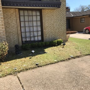 Leaf Removal by Arm Lawn Care reviewed on September 28, 2025