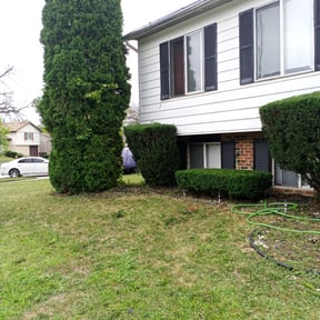 Bush Trimming by Lawn and Beyond reviewed on May 12, 2025