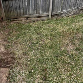 Leaf Removal by Abel Baeza reviewed on September 1, 2026