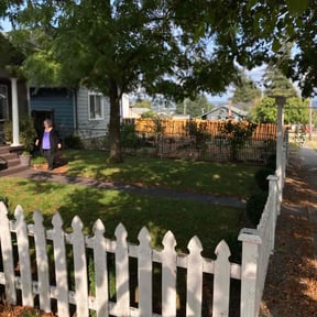 Bush Trimming by C&C SUPERIOR LANDSCAPING LLC reviewed on August 15, 2025