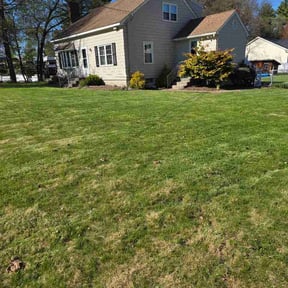 Leaf Removal by The lawn Guy reviewed on May 27, 2026