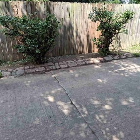 Bush Trimming by Green Line  Landscaping reviewed on July 23, 2026