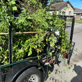 Bush Trimming by Top Notch Cuttz reviewed on August 21, 2025