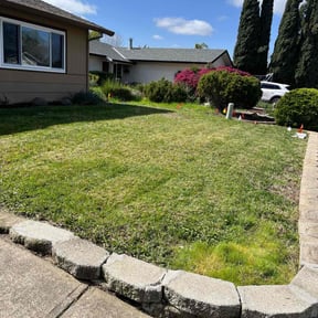 Leaf Removal by OMC lawncare reviewed on September 20, 2025