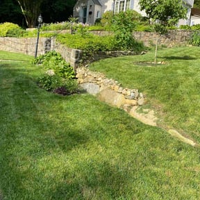 turf care by Harvey Handy &amp; Lawn reviewed on May 25, 2025