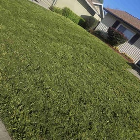 grass cutting by Florida's Finest Property Maintenance reviewed on March 19, 2024