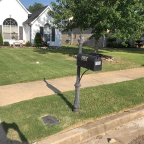 landscaping services by Timothy Inge reviewed on August 15, 2025