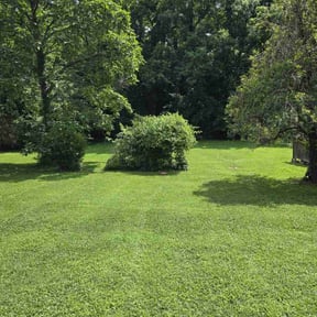 yard care by Blessings Lawn Care Services reviewed on August 17, 2025