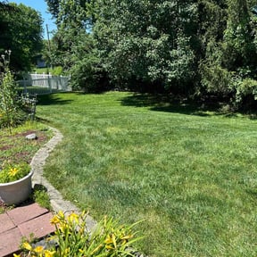 yard service by Devil Dogs Lawn Care reviewed on November 26, 2025