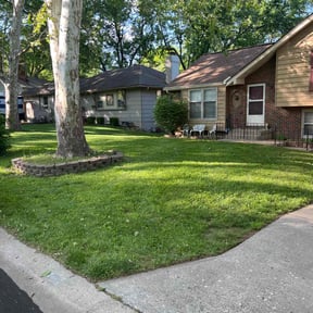 residential landscaping by Re Image lawn care reviewed on December 18, 2025