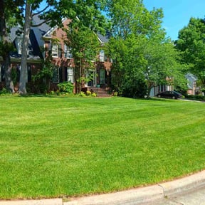 landscaping by Same reviewed on November 22, 2025