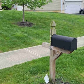 lawn maintenance by MoPro reviewed on July 21, 2025