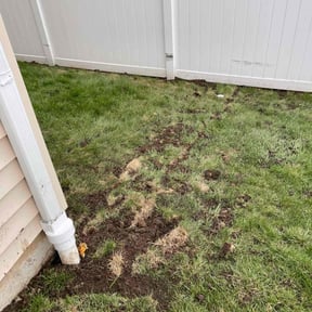 Drainage Installation by  reviewed on January 15, 2026