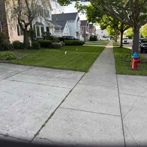 landscaping services by Student Loan Payment Lawn Care reviewed on November 9, 2017