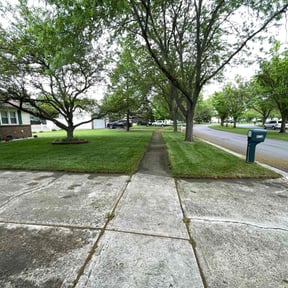 landscaping services by DTE Maintenance Llc reviewed on November 21, 2025