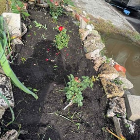 Flower Bed Weeding by Done Rite lawn maintenance reviewed on August 29, 2026