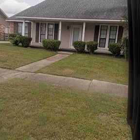 Bush Trimming by C & M Lawn Service reviewed on August 18, 2025