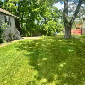 landscape maintenance by CC Landscaping Services LLC reviewed on July 18, 2025