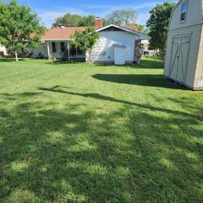 yard care by Lawn Love Landscaping reviewed on August 19, 2025
