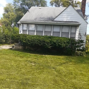 Bush Trimming by Down To Earth Landscaping reviewed on August 17, 2025
